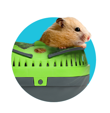 Prepravka pre škrečky: akú vybrať?