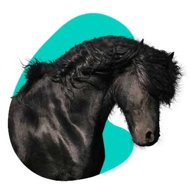 Frízsky kôň: popis plemena, charakter, cena