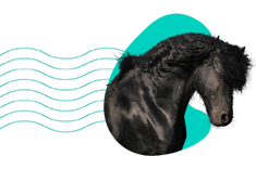 Frízsky kôň: popis plemena, charakter, cena