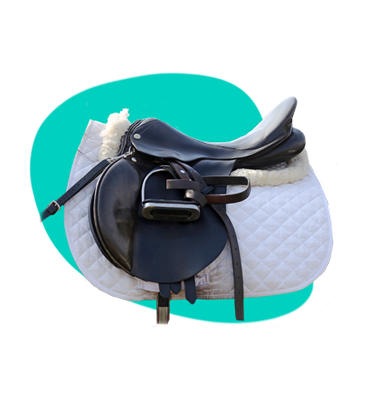 Veci pre kone: jazdecké potreby a vybavenie pre kone