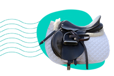 Veci pre kone: jazdecké potreby a vybavenie pre kone